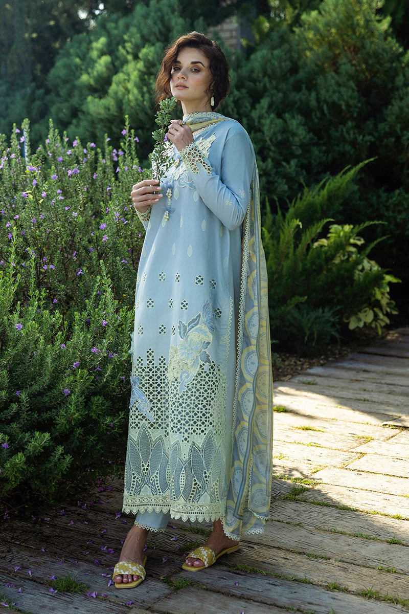 Mushq Solace Ombre Chikankari | Intesa