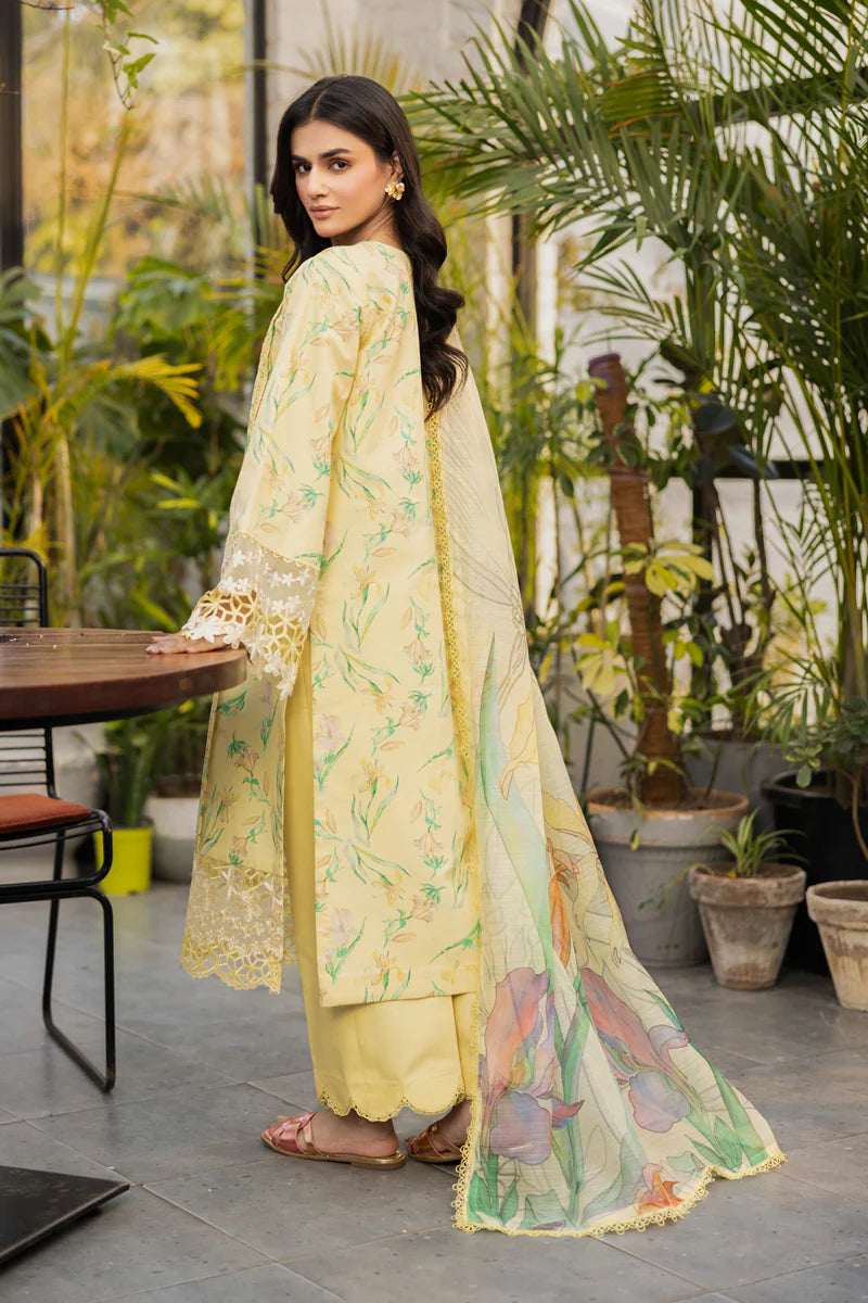 Lifestyle Summer Edit ’25 by Rangrasiya | RR25V04SLD11