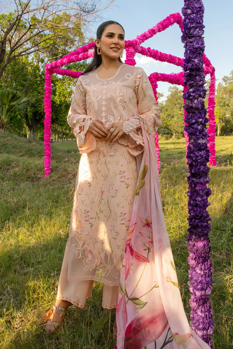 Rang Rasiya Carnation Festive Edit '24 Lily