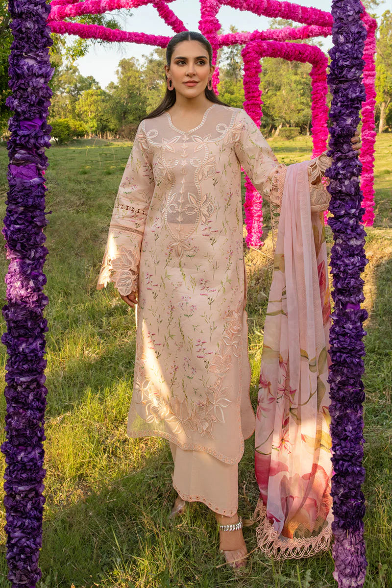 Rang Rasiya Carnation Festive Edit '24 Lily